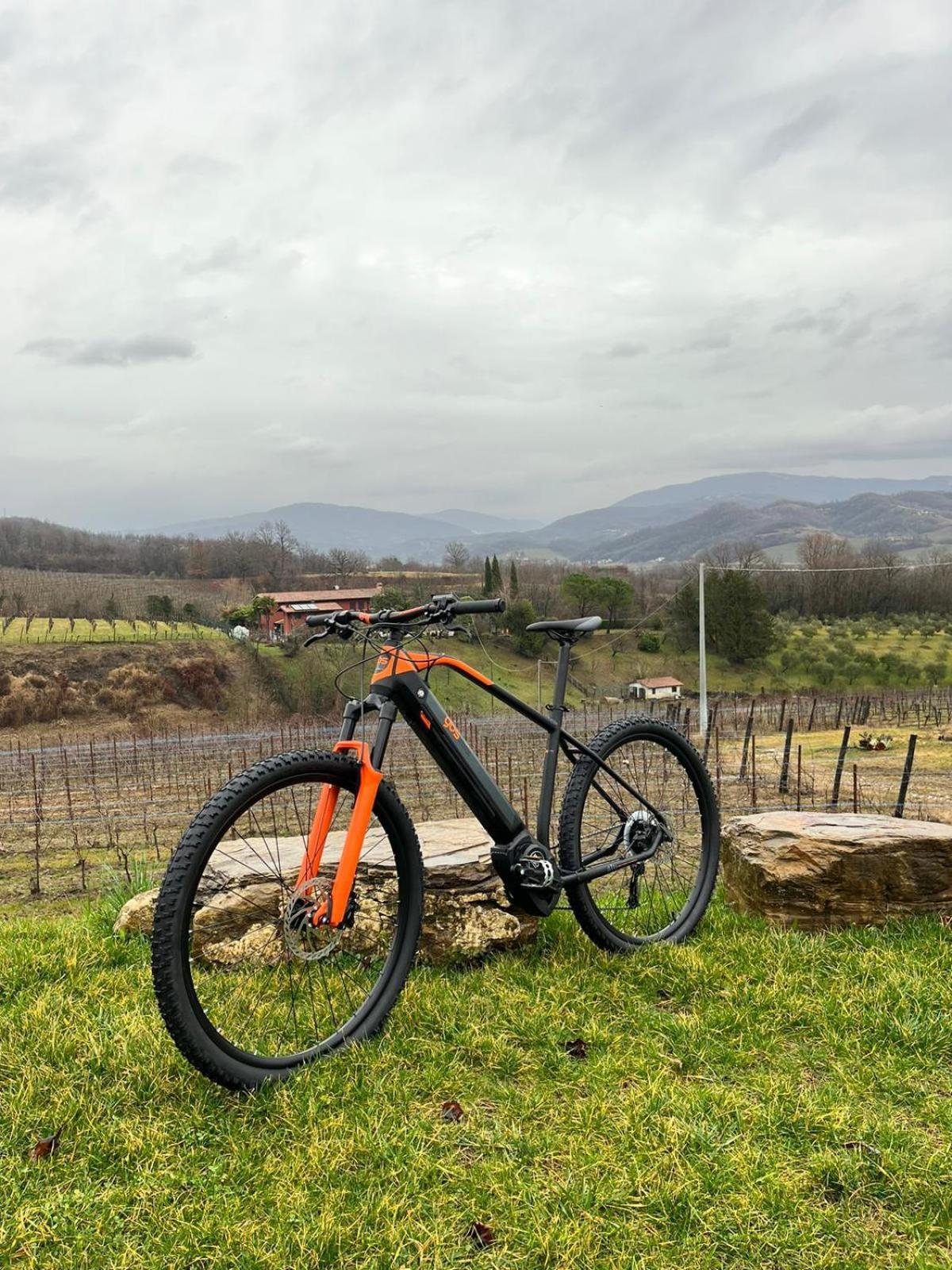 Agriturismo Spolert Winery Prepotto  Экстерьер фото